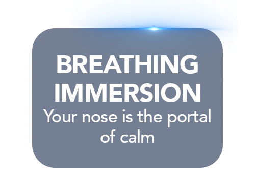 Breathing Immersion - Strength and Wellness Program